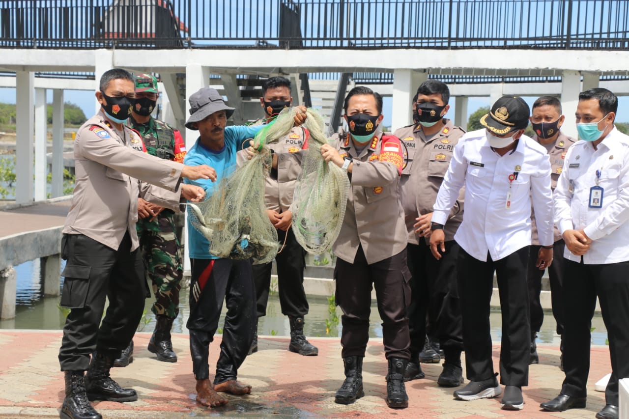 Program Ketahanan Pangan,Polresta Tangerang Panen Ikan Bandeng