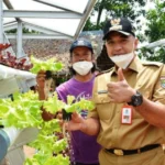 Guna Meningkatkan Ketahanan Pangan,Bupati Tangerang Tinjau Lahan Pertanian Hidroponik di Desa Sodong