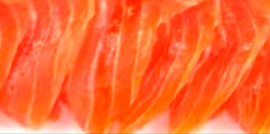 Tiga Manfaat Ikan Salmon yang dapat Mencegah Berbagai Penyakit