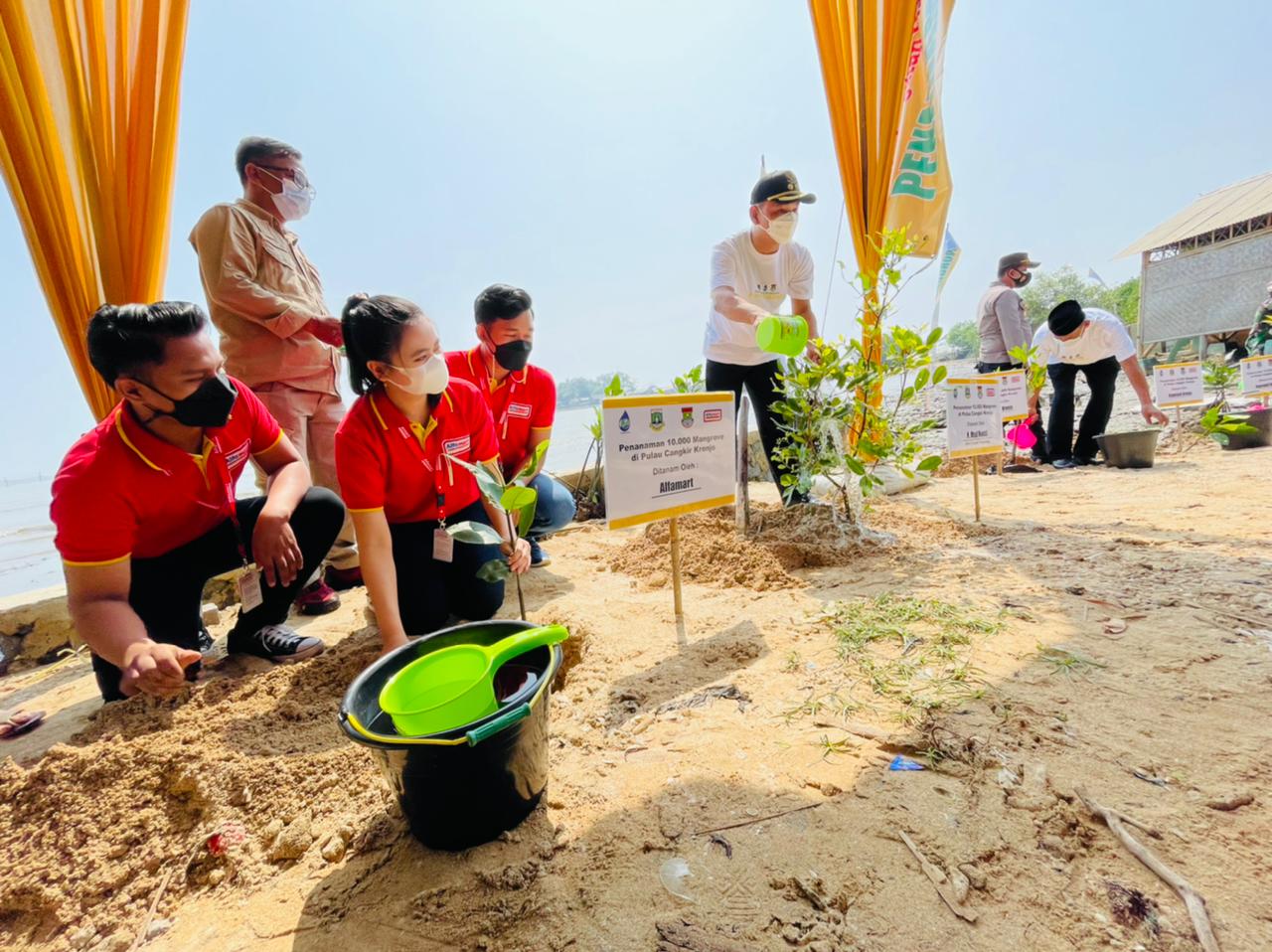 Hari Lingkungan Hidup, Alfamart Tanam 10.000 Bibit Mangrove di Pulau Cangkir
