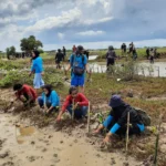 Kembalikan Fungsi Ekosistem Pesisir, Komunitas Pecinta Alam Tangerang Tanam Mangrove di Kronjo