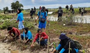 Kembalikan Fungsi Ekosistem Pesisir, Komunitas Pecinta Alam Tangerang Tanam Mangrove di Kronjo