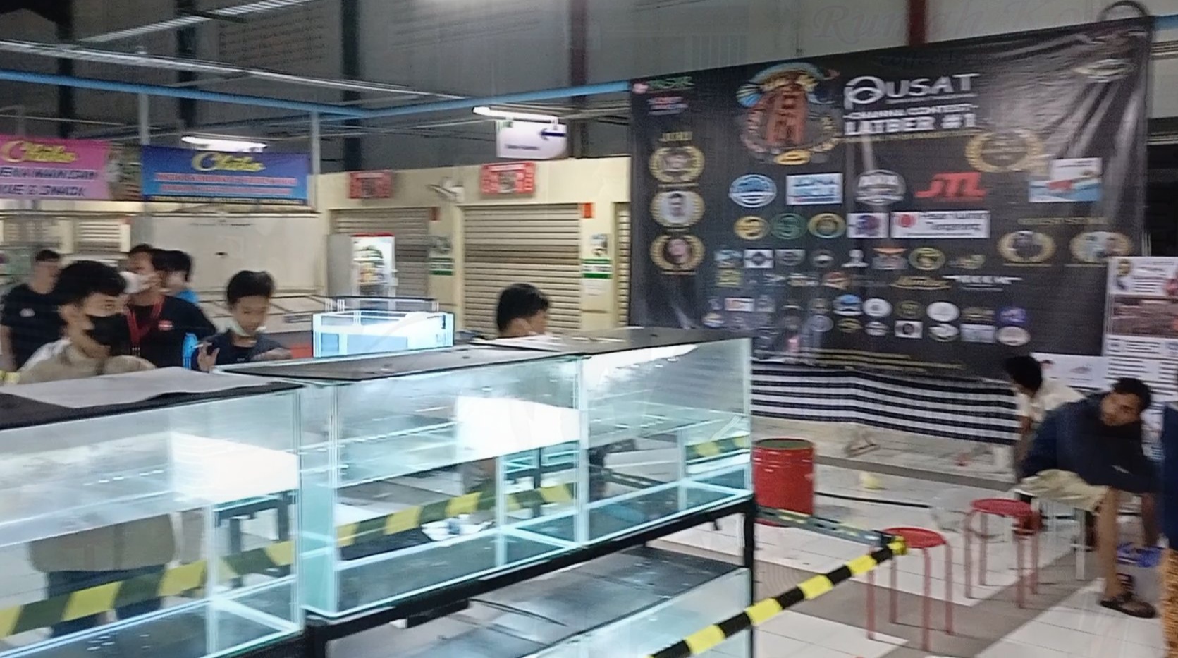 Pencinta Ikan Channa Di Tangerang Antusias ikut Dalam Ajang Channa Contest Latber 1 Di pasar Ufit Goldland Karawaci