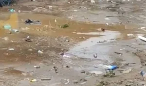Banjir Bandang Sungai Cimanuk Rendam 8 Kecamatan di Garut